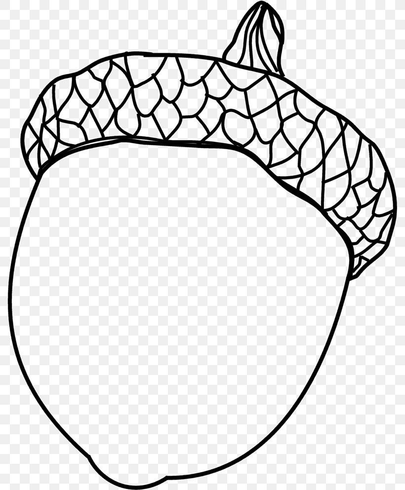 Drawing Coloring Book Acorn Painting, PNG, 790x993px, Drawing, Acorn, Adult, Area, Black Download Free