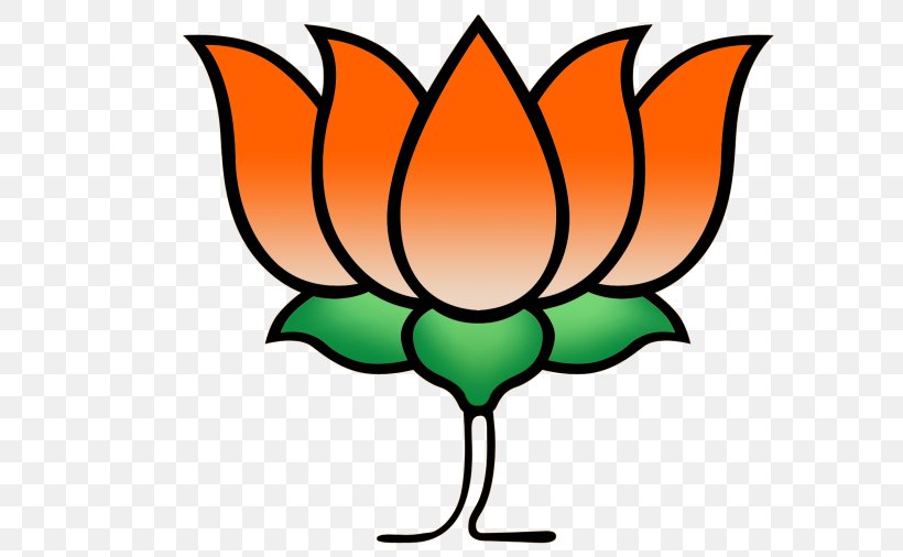 Indian National Congress Bharatiya Janata Party Political Party All India Anna Dravida Munnetra Kazhagam, PNG, 674x506px, India, Area, Artwork, Bharatiya Janata Party, Candidate Download Free