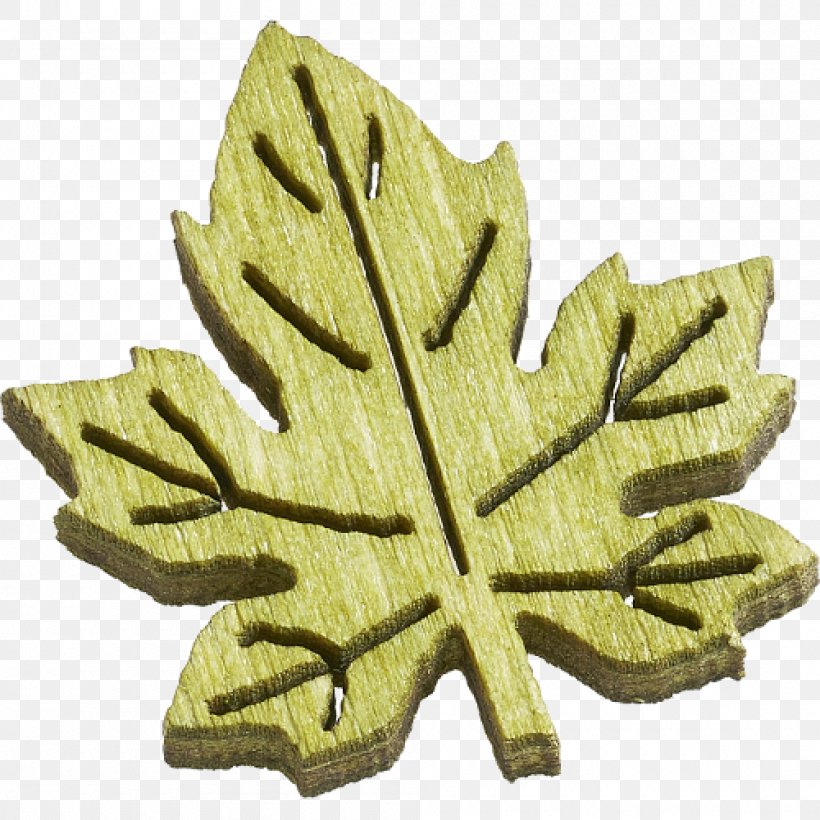 Leaf Green Produce Maple, PNG, 1000x1000px, Leaf, Green, Maple, Tree Download Free