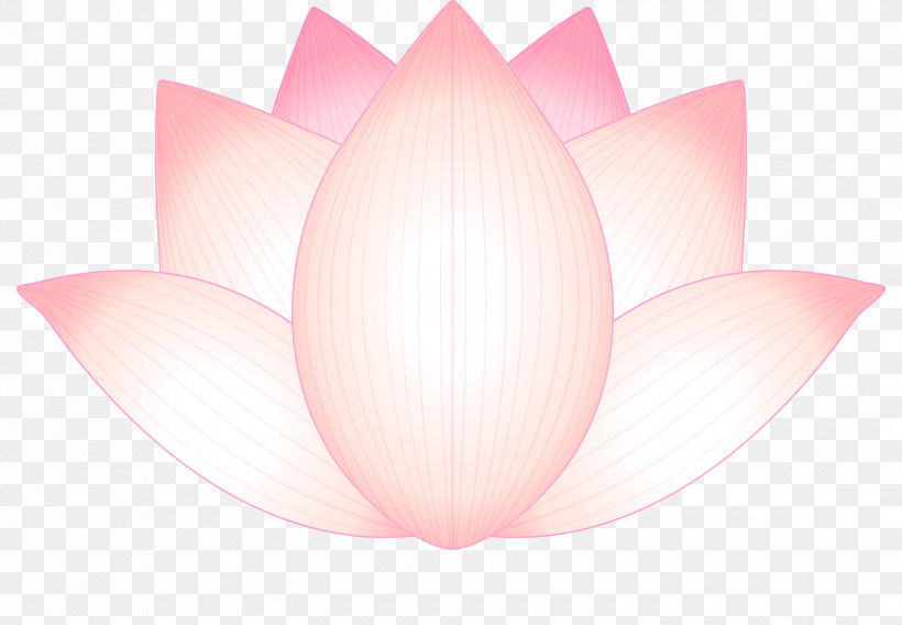 Lotus Flower, PNG, 3000x2080px, Lotus, Aquatic Plant, Flower, Lighting, Lotus Family Download Free