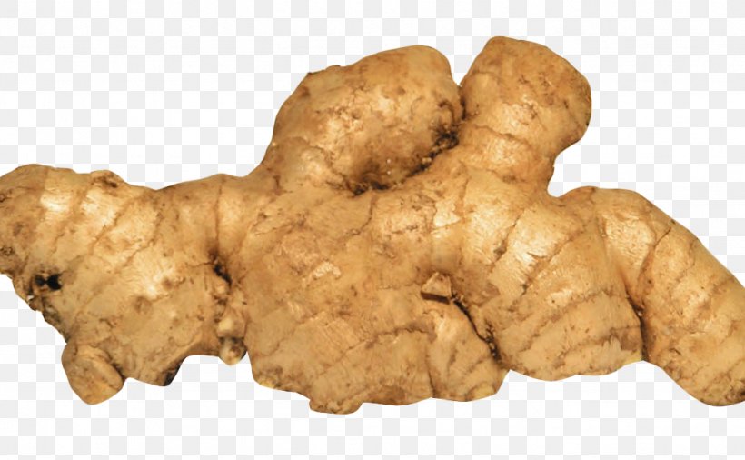 Root Vegetables Ginger Spice, PNG, 1024x632px, Root Vegetables, Android Gingerbread, Food, Galangal, Ginger Download Free