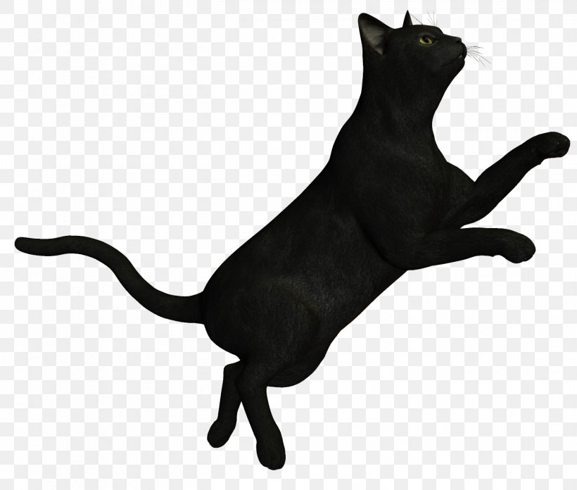 Bombay Cat Korat Black Cat, PNG, 1418x1205px, Bombay Cat, Black, Black And White, Black Cat, Bombay Download Free