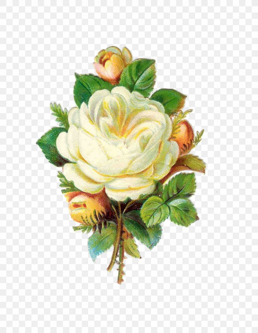 Rose White Antique Clip Art, PNG, 1231x1590px, Rose, Antique, Artificial Flower, Color, Cut Flowers Download Free