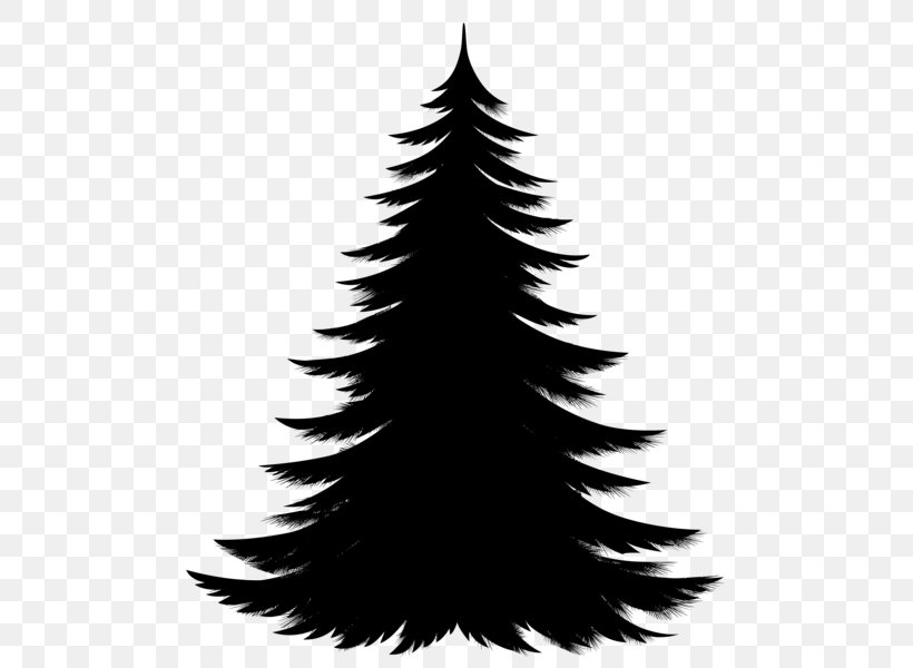 Spruce Pine Christmas Tree Fir, PNG, 509x600px, Spruce, American Larch, Branch, Christmas Day, Christmas Decoration Download Free