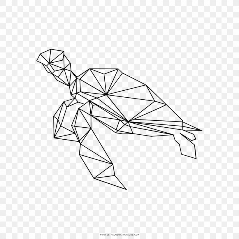Baby Sea Turtle Line Art Drawing Coloring Book, PNG, 1000x1000px, Turtle, Animal, Area, Arm, Art Download Free
