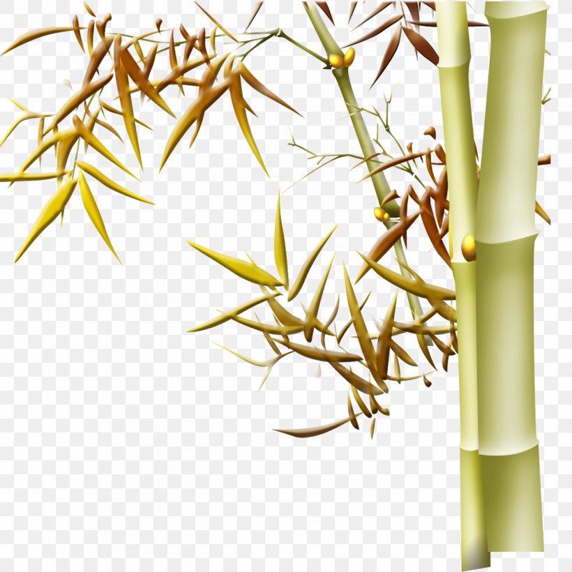 Bamboo Download, PNG, 1417x1417px, Bamboo, Branch, Copyright, Designer, Floral Design Download Free