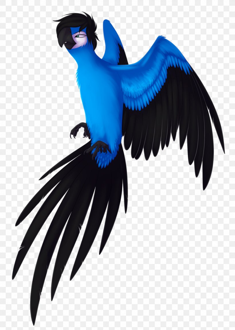 Macaw Nigerian Naira Rio Drawing, PNG, 1024x1437px, Macaw, Art, Beak, Bird, Character Download Free