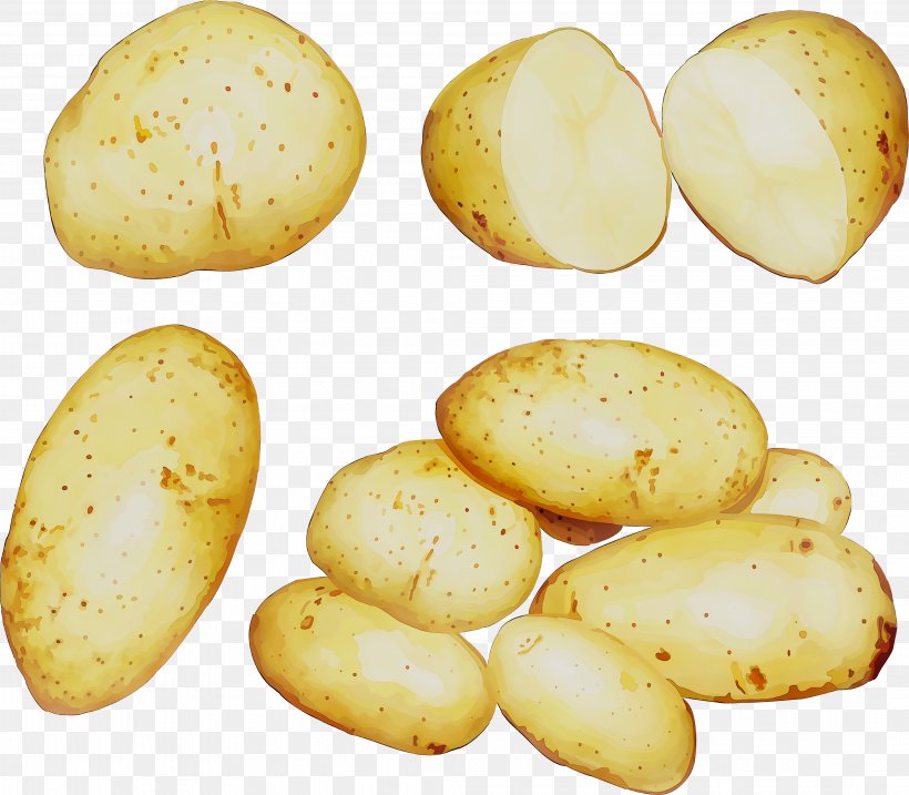 Russet Burbank Potato Yukon Gold Potato, PNG, 4069x3561px, Russet Burbank Potato, Brazil Nut, Food, Herbaceous Plant, Plant Download Free