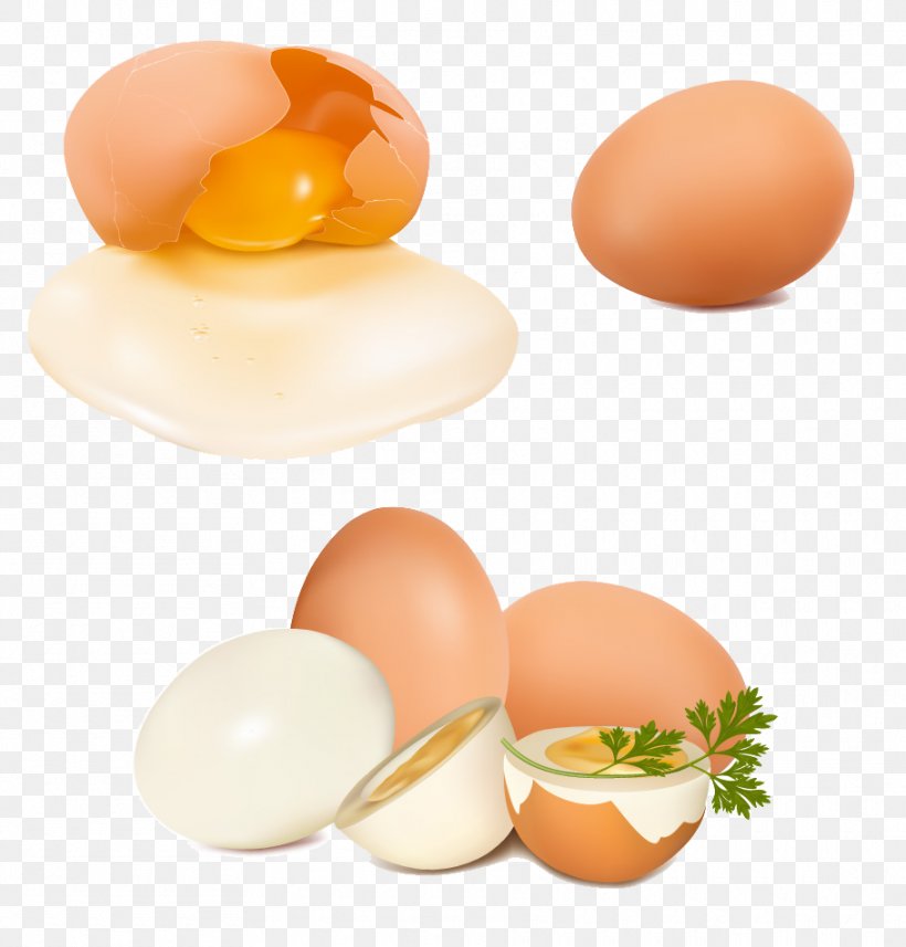 Chicken Egg Vegetable, PNG, 910x952px, Chicken, Auglis, Chicken Egg, Cucumber, Egg Download Free