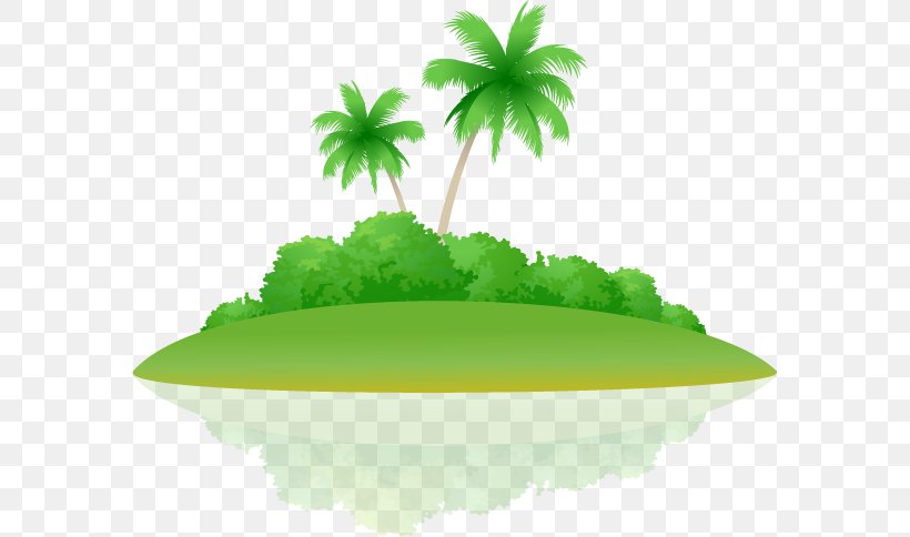 Euclidean Vector Arecaceae Icon, PNG, 581x484px, Arecaceae, Coconut, Grass, Green, Illustrator Download Free