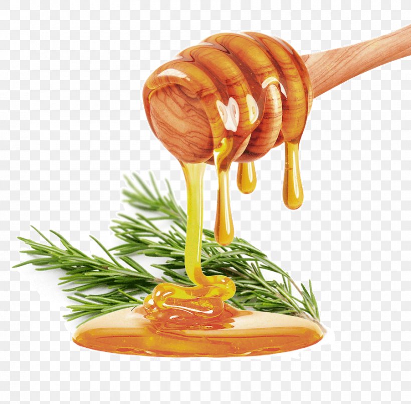 Honey Stock Photography Royalty-free Syrup, PNG, 900x885px, Honey, Food, Fotolia, Garnish, Honey Bee Download Free