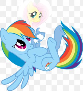 Shy Expression - Pony Rainbow Dash Fluttershy Photography PNG