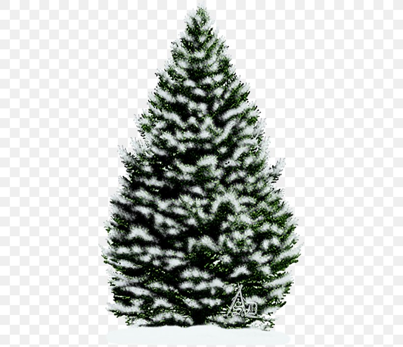 Spruce Christmas Tree Christmas Ornament Fir, PNG, 421x705px, Spruce, Art, Christmas, Christmas Decoration, Christmas Ornament Download Free