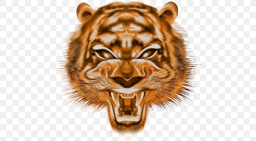 Tiger Lion Clip Art Image, PNG, 600x453px, Tiger, Animal, Art, Bengal Tiger, Big Cats Download Free