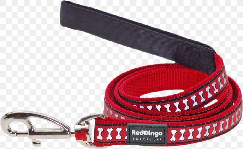 Dingo Dog Leash Pet Lead, PNG, 3000x1843px, Dingo, Belt, Cat, Collar, Dog Download Free