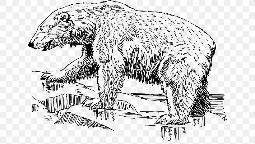 Polar Bear American Black Bear Vector Graphics Clip Art, PNG, 640x464px, Polar Bear, American Black Bear, Art, Artwork, Bear Download Free