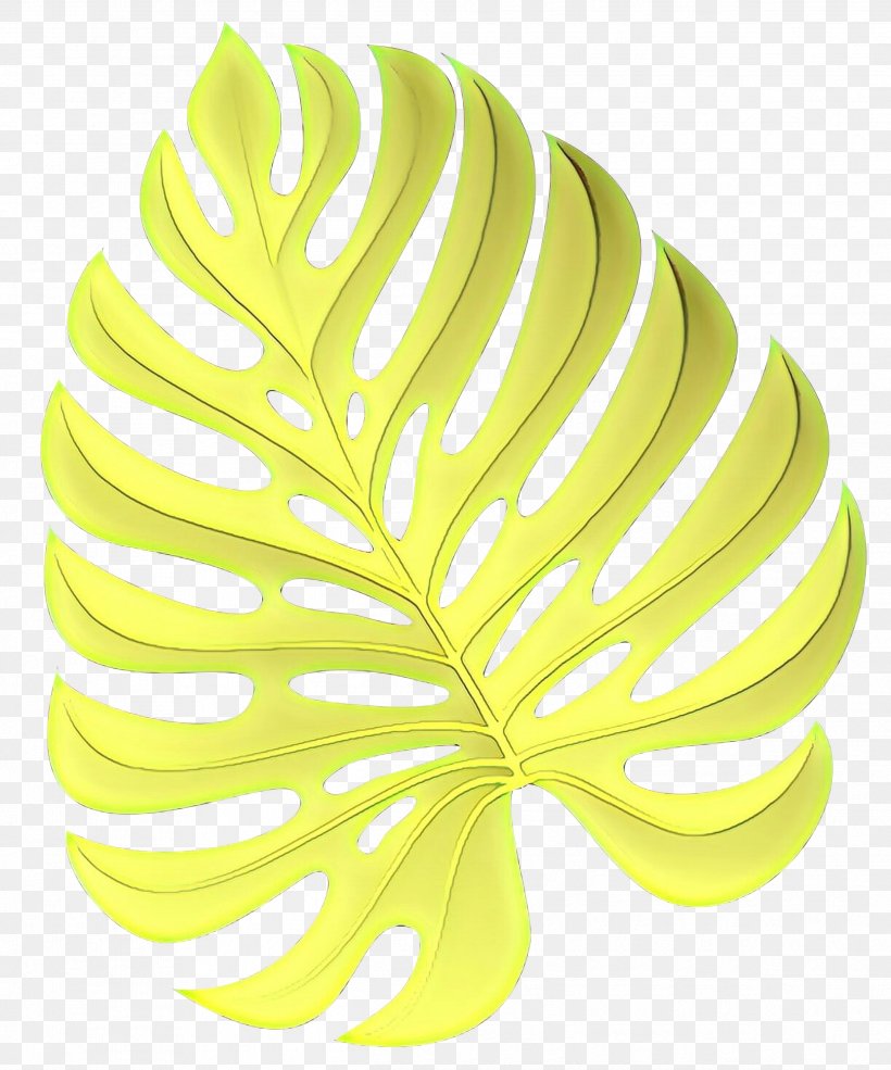 Product Design Leaf Line, PNG, 2496x3000px, Leaf, Botany, Green, Plant, Yellow Download Free