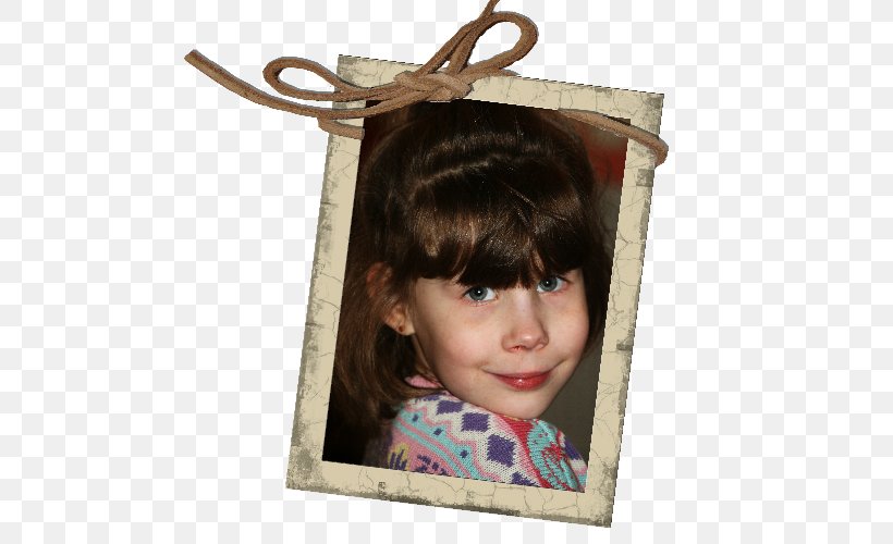 Brown Hair Picture Frames, PNG, 500x500px, Brown, Brown Hair, Hair, Picture Frame, Picture Frames Download Free