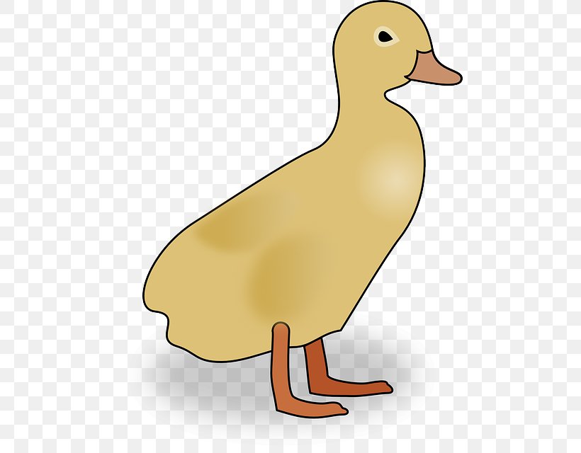 Duck Mallard Clip Art Openclipart Goose, PNG, 487x640px, Duck, Beak, Bird, Chicken, Ducks Download Free