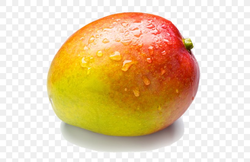 Juice Mango Clip Art Mangifera Indica, PNG, 600x532px, Juice, Accessory Fruit, Alphonso, Food, Food Spoilage Download Free