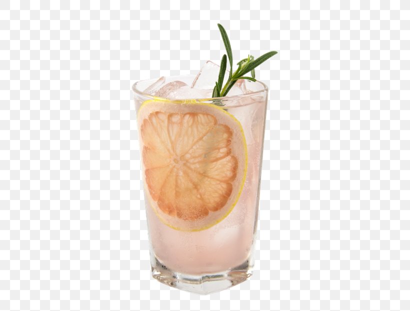 Cocktail Garnish Orange Drink Flavor Sea Breeze, PNG, 467x622px, Cocktail Garnish, Batida, Cocktail, Concentrate, Drink Download Free