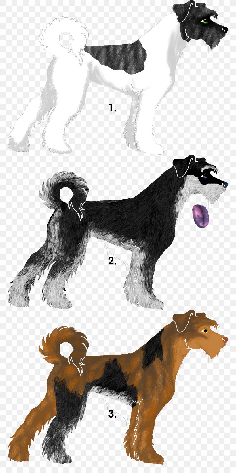 Dog Breed Paw Character, PNG, 1600x3201px, Dog Breed, Breed, Carnivoran, Character, Dog Download Free