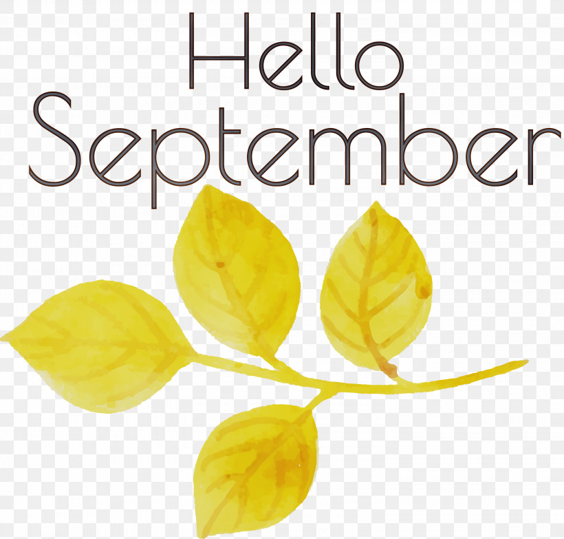 Leaf Petal Yellow Font Fruit, PNG, 3000x2866px, Hello September, Biology, Fruit, Leaf, Meter Download Free