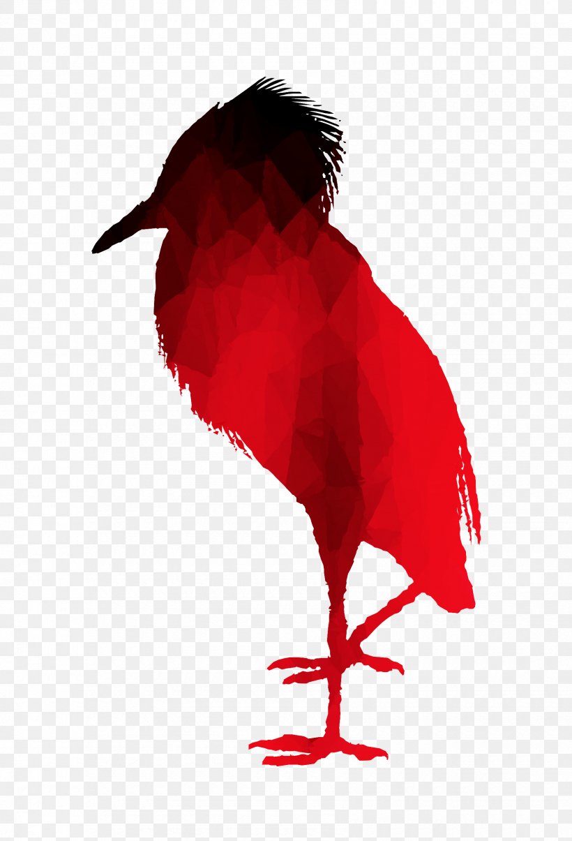 Bird Illustration Design Beak Ibis, PNG, 1700x2500px, Bird, Art, Beak, Blog, Child Download Free