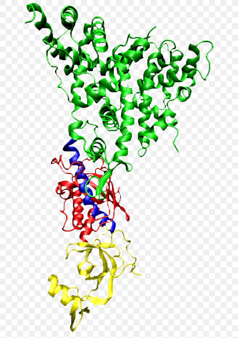 Dicer RNA Interference Protein Ribonuclease RNA-induced Silencing Complex, PNG, 690x1164px, Dicer, Area, Art, Artwork, Biology Download Free