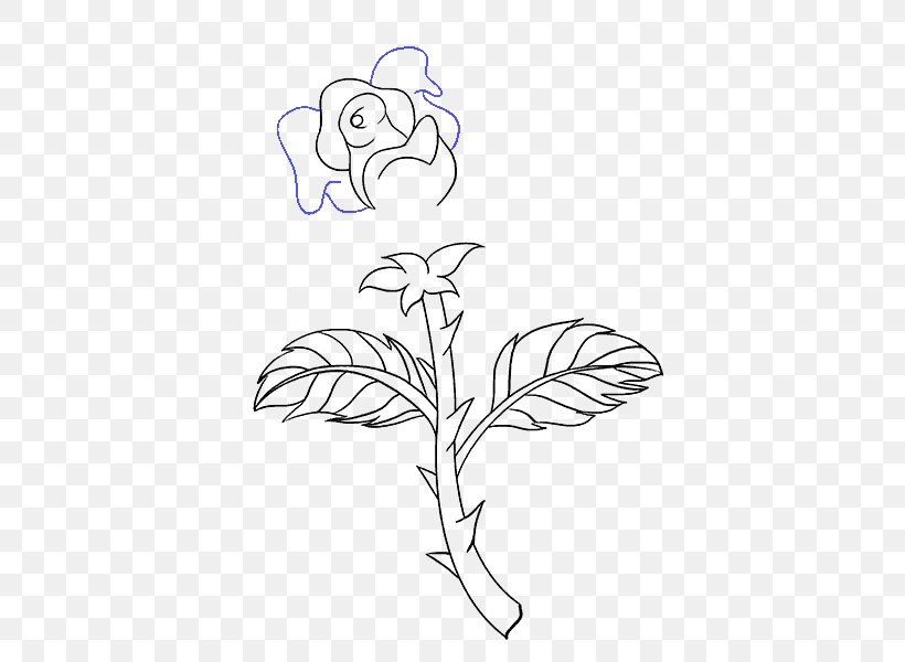 Drawing Plant Stem Rose Flower Sketch, PNG, 678x600px, Watercolor, Cartoon, Flower, Frame, Heart Download Free