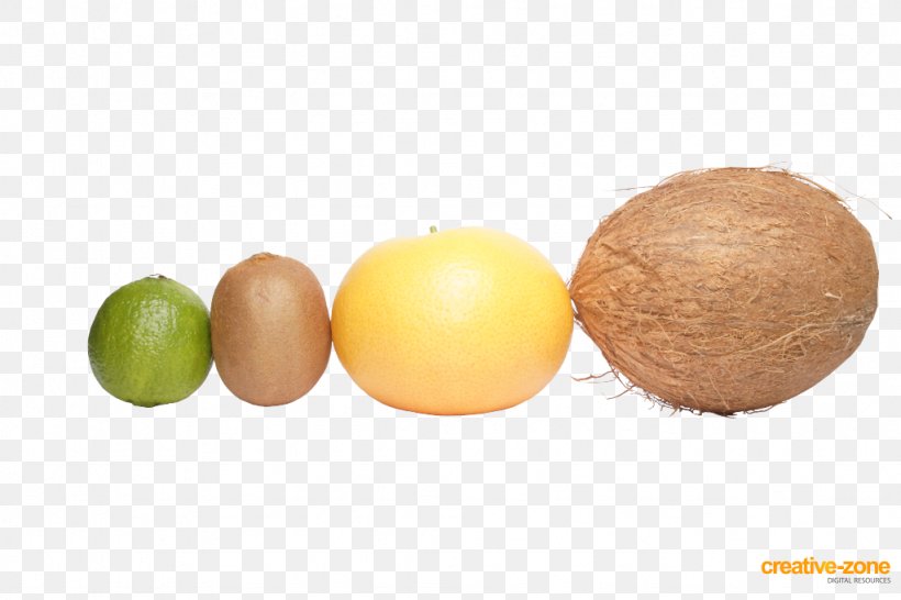 Grapefruit Coconut Kiwifruit Lime, PNG, 1024x683px, Grapefruit, Bottle, Coconut, Ddr3 Sdram, Ecc Memory Download Free