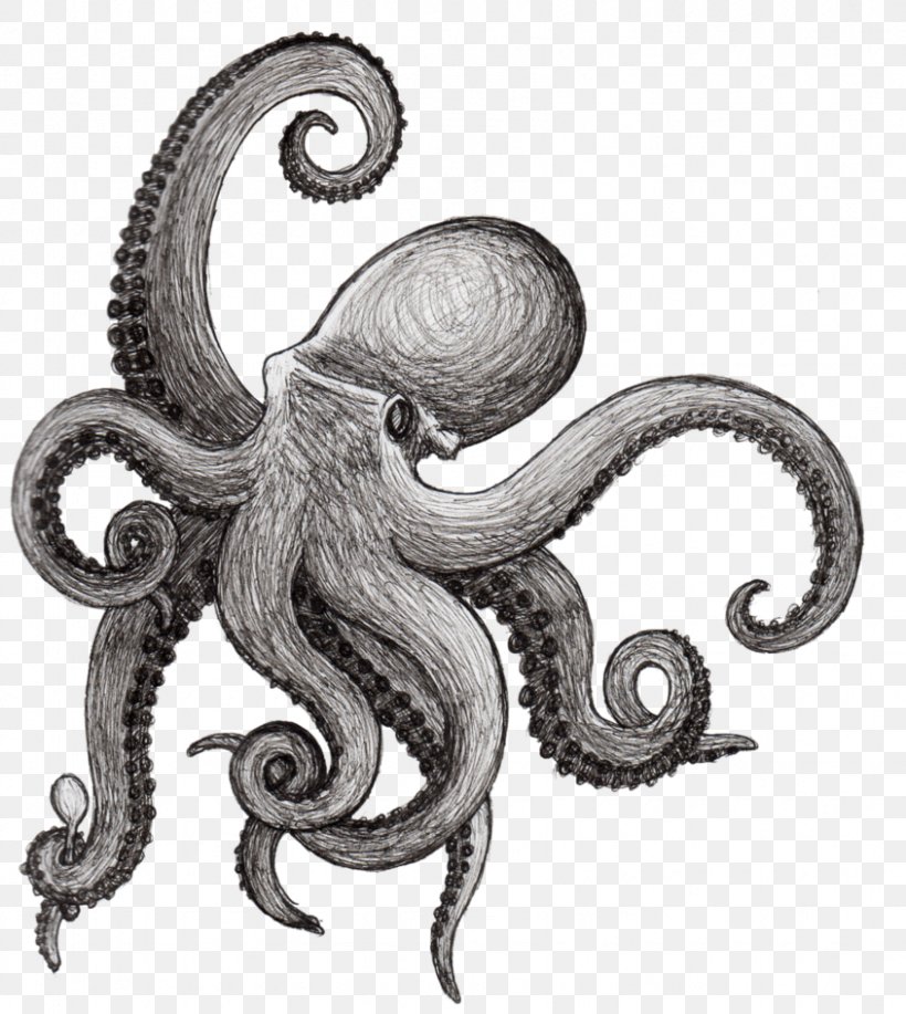 Octopus Drawing Squid Tattoo Sketch, PNG, 845x945px, Octopus, Black And White, Cephalopod, Coloring Book, Drawing Download Free