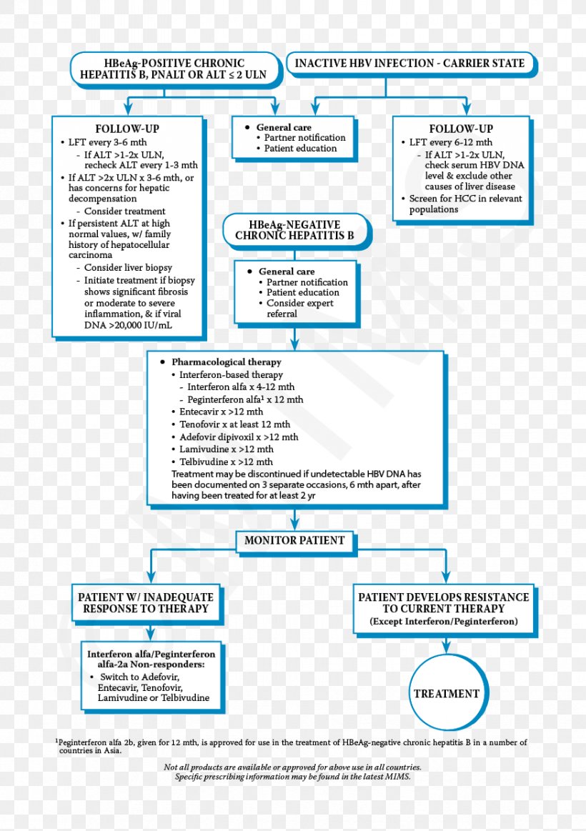 Web Page Organization Brand, PNG, 874x1240px, Web Page, Area, Brand, Diagram, Document Download Free