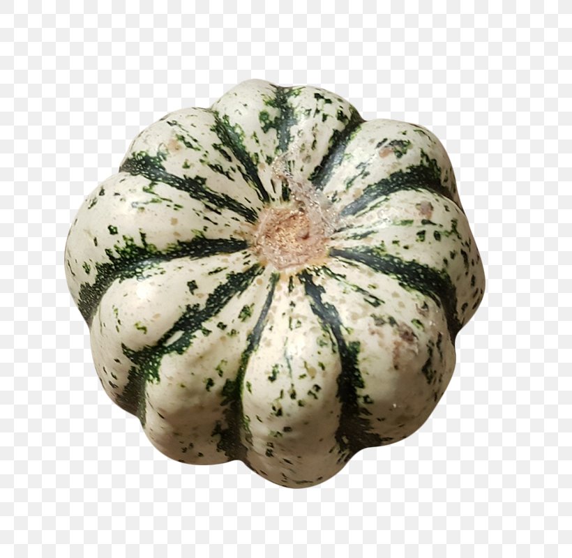 GOURD+m Winter Squash Cucurbita Fruit, PNG, 800x800px, Gourd, Cucumber Gourd And Melon Family, Cucurbita, Fruit, Gourd Order Download Free