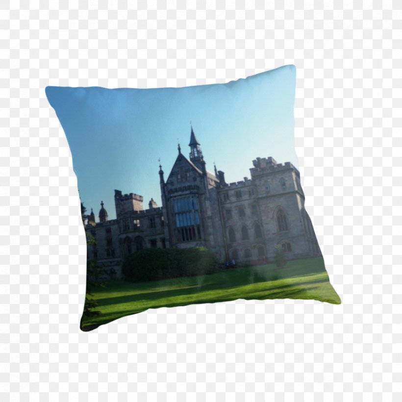 Throw Pillows Cushion Rectangle, PNG, 875x875px, Throw Pillows, Cushion, Grass, Pillow, Rectangle Download Free