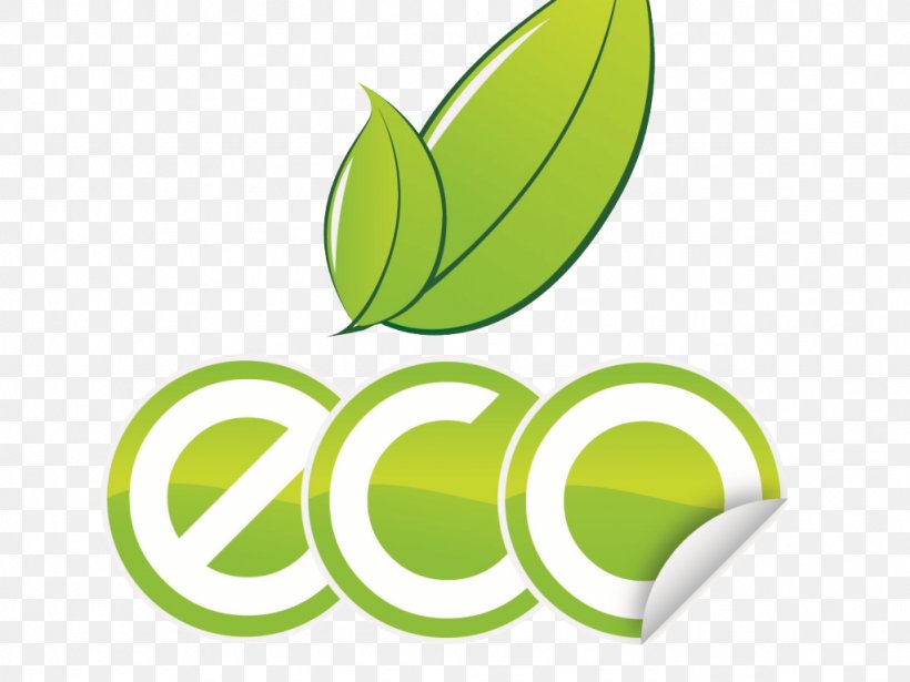 Environmentally Friendly Recycling Natural Environment Environmental Protection Logo, PNG, 1024x768px, Environmentally Friendly, Brand, Business, Consultant, Environment Download Free