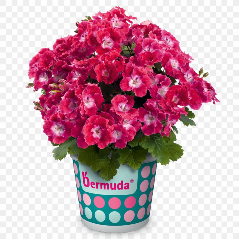 Flower Bouquet Floristry Geraniums Perennial Plant, PNG, 1000x1000px, Flower, Annual Plant, Artificial Flower, Basket, Begonia Download Free