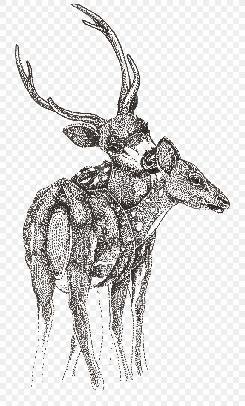 Reindeer Sketch, PNG, 1500x2483px, Deer, Antelope, Antler, Art, Black And White Download Free