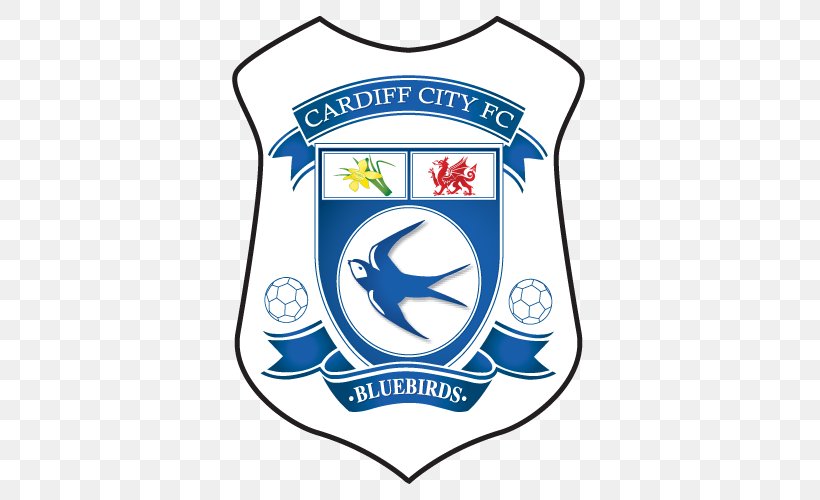 Cardiff City Stadium Cardiff City F.C. Premier League 2017–18 EFL Championship Football, PNG, 500x500px, Cardiff City Stadium, Area, Association Football Manager, Brand, Cardiff Download Free