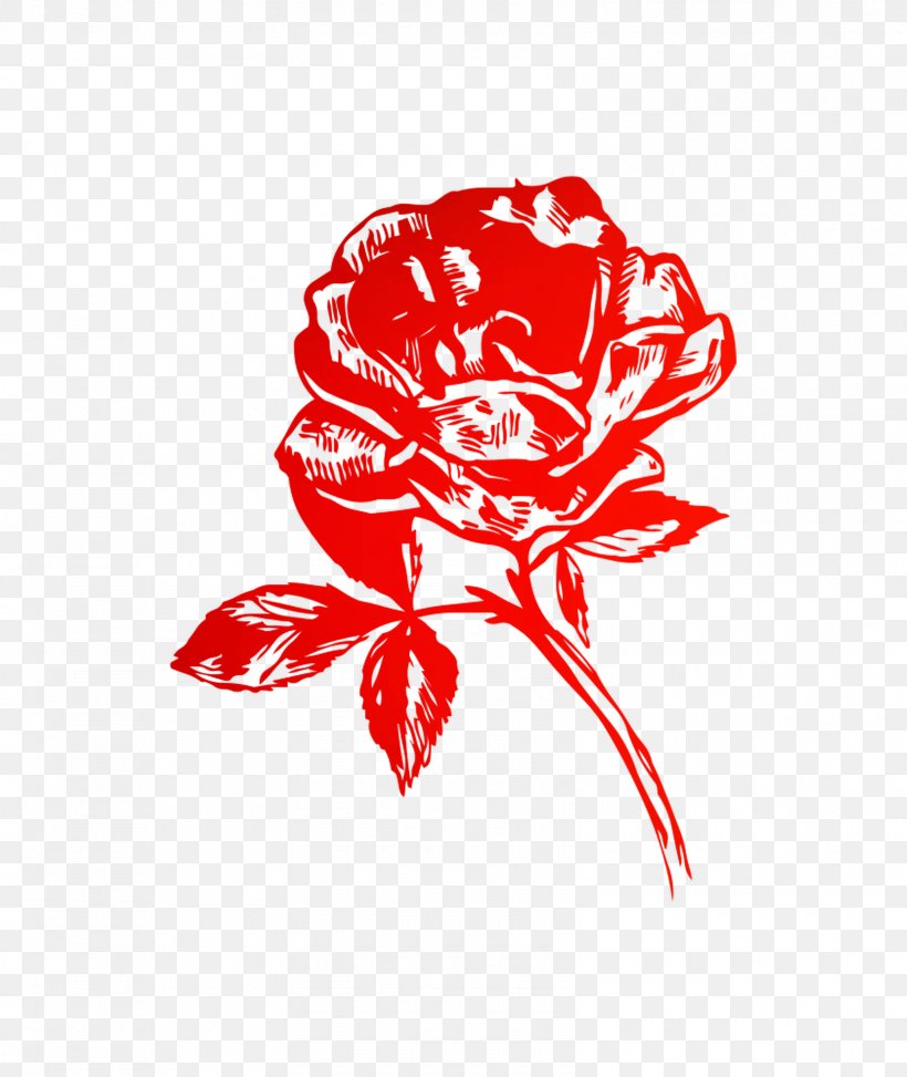 Garden Roses Illustration Floral Design Cut Flowers Clip Art, PNG, 1600x1900px, Garden Roses, Botany, Carnation, Cut Flowers, Drawing Download Free