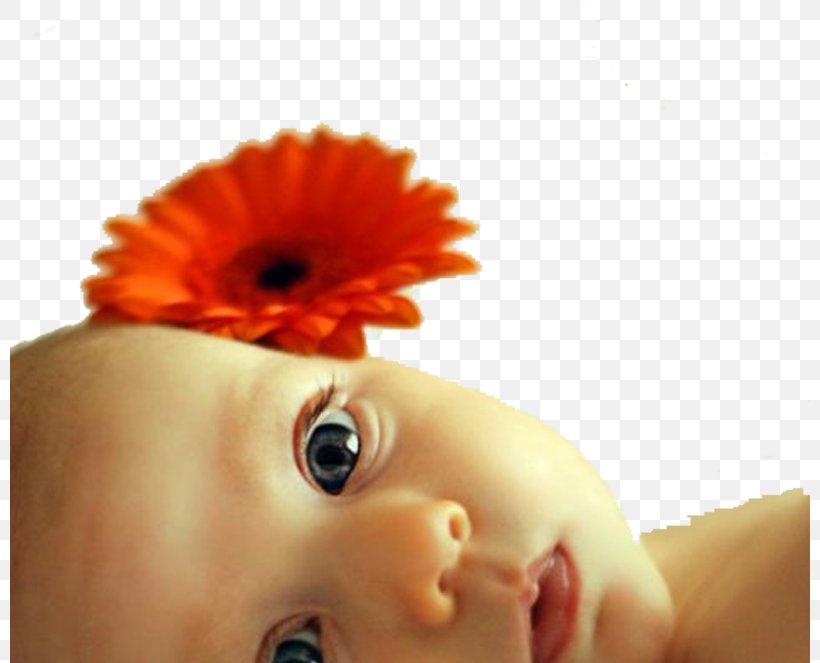 Infant Child Cheek Toddler Painting, PNG, 800x663px, Infant, Cheek, Child, Close Up, Ear Download Free
