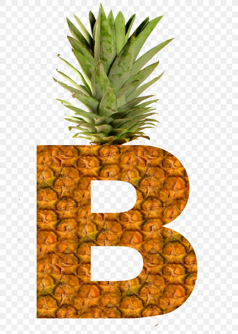 Pineapple Juice Slice Fruit Crisp, PNG, 897x1261px, Pineapple, Alphabet, Ananas, Bromeliaceae, Canning Download Free