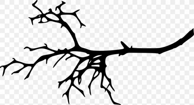 Twig Branch Clip Art, PNG, 850x463px, Twig, Antler, Art, Artwork, Black And White Download Free