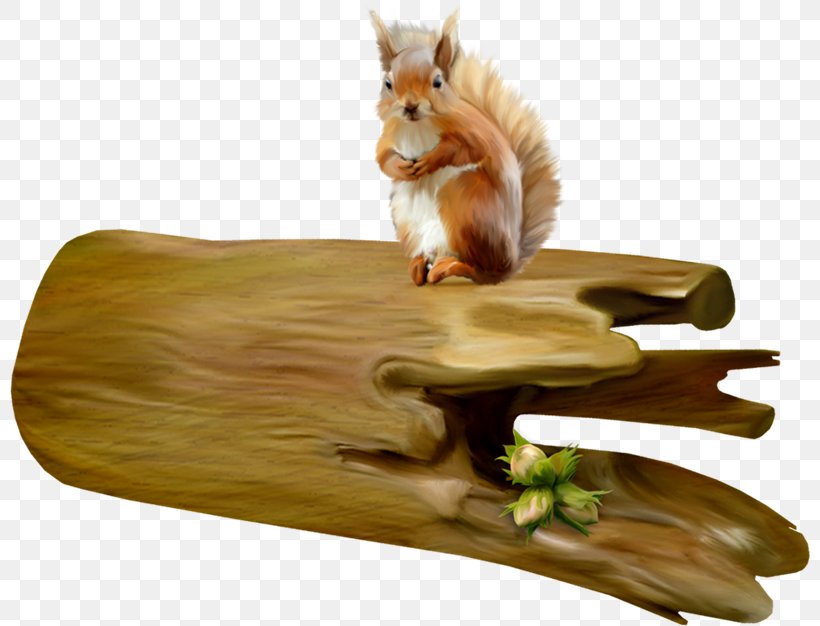 Wood Squirrel, PNG, 800x626px, 3d Computer Graphics, Wood, Animaatio, Computer Graphics, Drawing Download Free