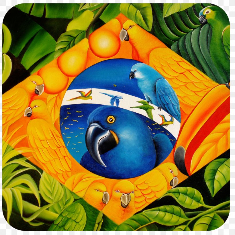 Brazil Riquezas Do Brasil Wealth Helio Paiva Flag, PNG, 1024x1024px, Brazil, Beak, Bird, Everyday Life, Flag Download Free