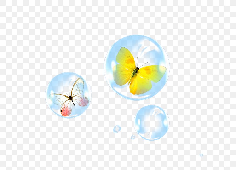 Butterfly Download, PNG, 591x591px, Butterfly, Animation, Bubble, Butterflies And Moths, Insect Download Free