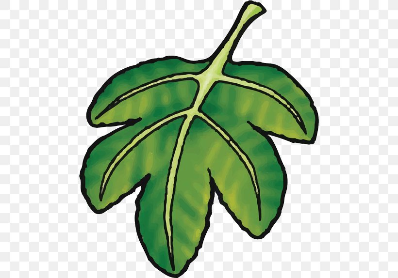 Christian Clip Art Fig Leaf Bible, PNG, 494x574px, Christian Clip Art, Bible, Botany, Common Fig, Fig Leaf Download Free