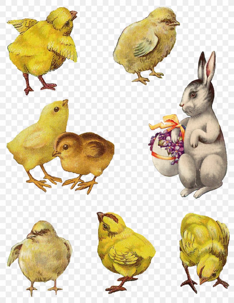 Easter Collage Cardmaking Clip Art, PNG, 1237x1600px, Easter, Animal, Beak, Bird, Cardmaking Download Free