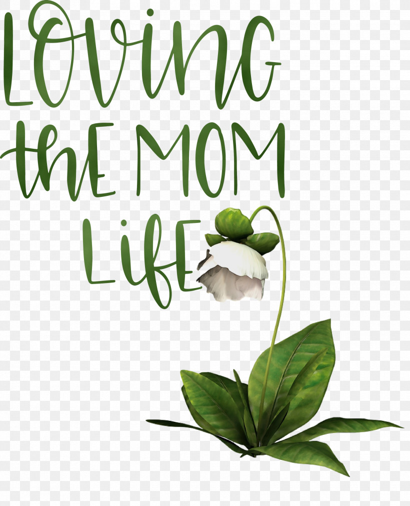 Herbal Medicine Font Flower Herb Leaf, PNG, 2434x3000px, Mothers Day, Biology, Flower, Green, Herb Download Free