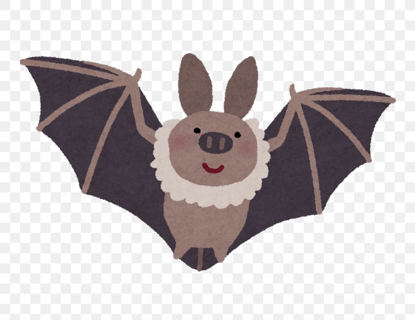 Japanese House Bat Vermin こうもり問題 Cat, PNG, 800x632px, Bat, Animal, Cat, Mammal, Pest Download Free